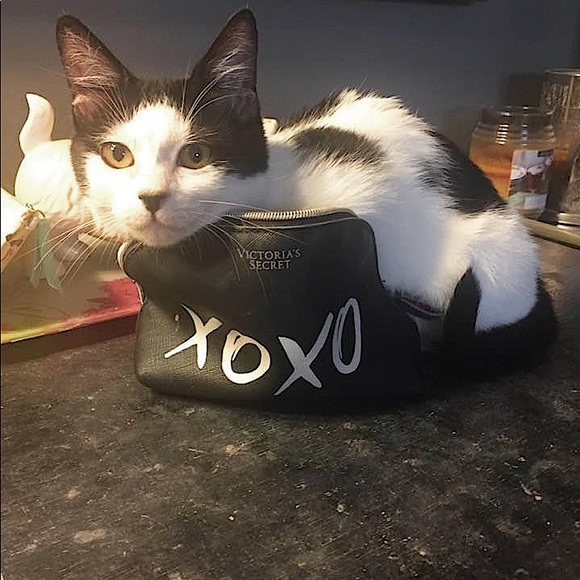 Meet your Posher, Elyse - Picture 6 of 8